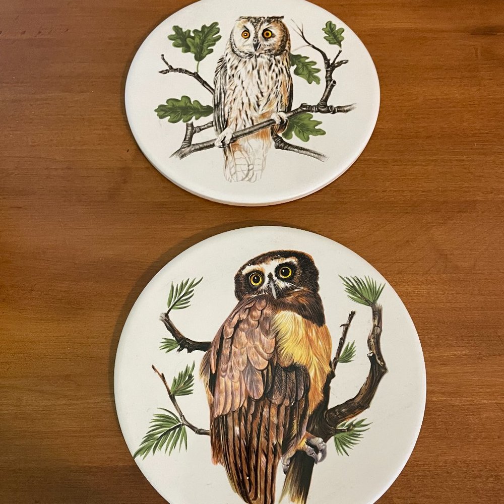 Vintage Hyalyn Ceramic Tile Owls (Set of 2) – Round Trivets 507 Wall Décor USA